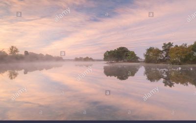 Fine estate, un giorno qualunque. COME IN UNA NEBBIA ROSA
