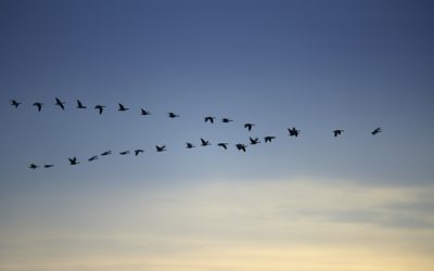 PREVISIONI 2022, COME UN SENSO DI SPERANZA
