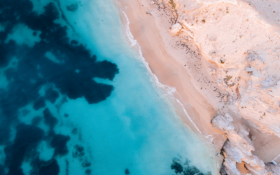 TUTTI AL MARE ?