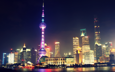 BRICS, CHI SONO, DA DOVE VENGONO, MA SOPRATTUTTO DOVE ANDRANNO